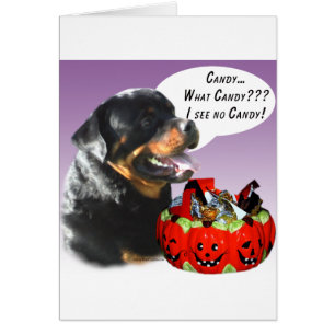 Rottweiler Halloween Candy