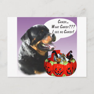 Rottweiler Halloween Snoep Briefkaart