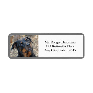 Rottweiler Head Tilt Cutness Return-adreslabels Etiket