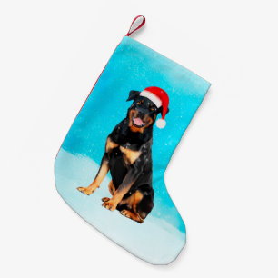 Rottweiler Hond in Sneeuw Met Santa Hoed Kleine Kerstsok