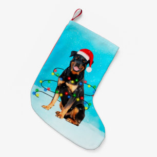 Rottweiler Hond in Sneeuw Met Santa Hoed Lichten Kleine Kerstsok