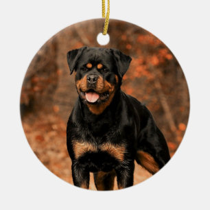 Rottweiler hond keramisch ornament