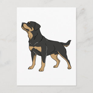 Rottweiler hond, Rottweiler hond staand Briefkaart