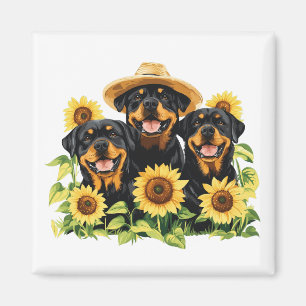 Rottweiler honden omringd door zonnebloemen magneet