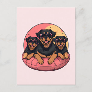 Rottweiler Honden Zomer Zwembad Floaties Briefkaart