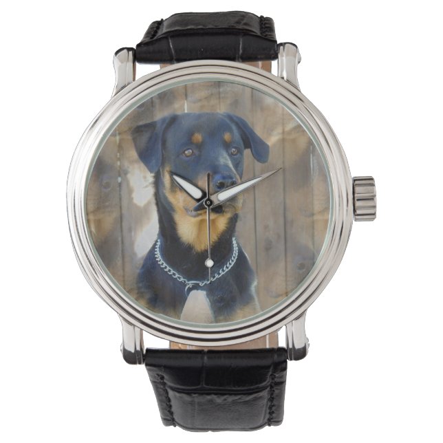Rottweiler Horloge (Voorkant)