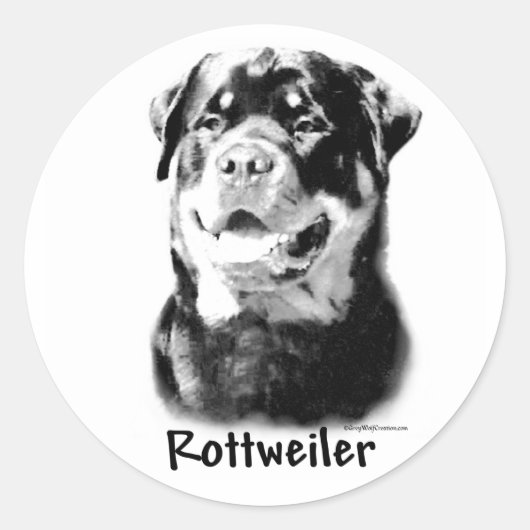Rottweiler houtskool Sticker (Voorkant)