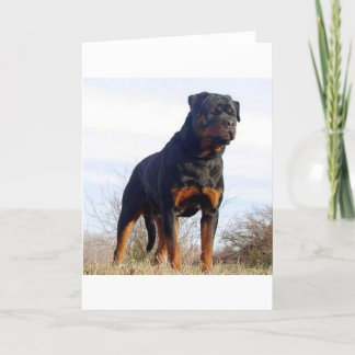 Rottweiler Kaart