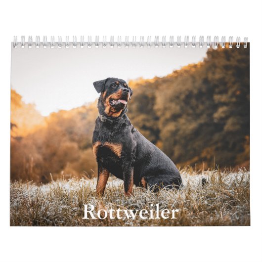 rottweiler-kalender kalender (Hoes)
