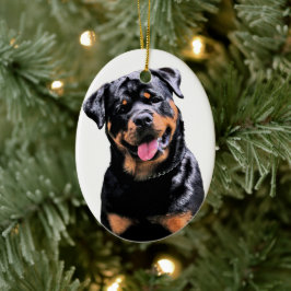 Rottweiler Keramisch Ornament