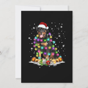 Rottweiler kerstboomverlichting aankondiging
