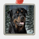 Rottweiler-kerstversiering Metalen Ornament (Voorkant)