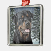 Rottweiler-kerstversiering Metalen Ornament (Links)
