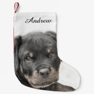 Rottweiler Kleine Kerstsok