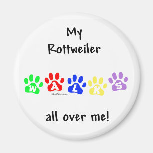 Rottweiler loopt over me heen - Magnet Magneet