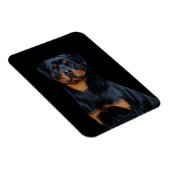 Rottweiler Magneet (Rechterzijde)