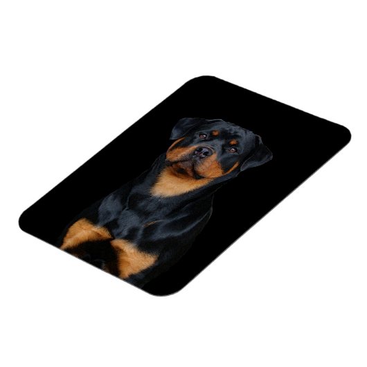 Rottweiler Magneet (Linkerzijde)