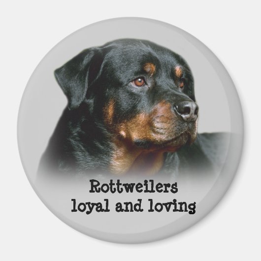 Rottweiler Magnet Magneet (Voorkant)