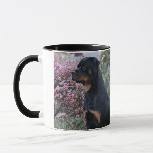Rottweiler Mok (Links)