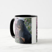 Rottweiler Mok (Voorkant links)