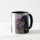 Rottweiler Mok (Voorkant rechts)