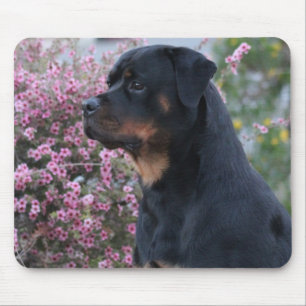 Rottweiler Muismat