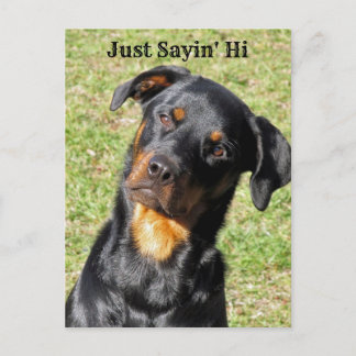 Rottweiler Net Sayin' Hi Briefkaart