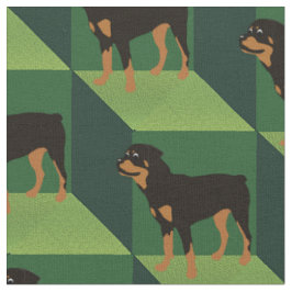Rottweiler op groene kubussen stof
