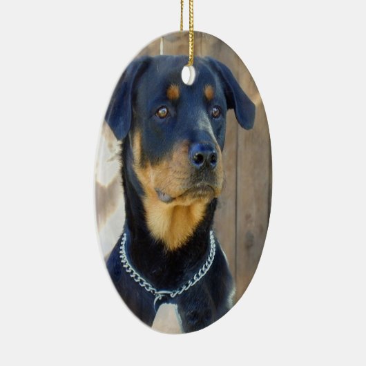 Rottweiler Ornament (Rechts)