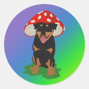 rottweiler-paddenstoel ronde sticker