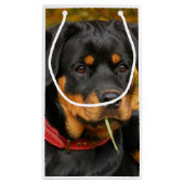 Rottweiler Pup Lying On The Ground In Forest Klein Cadeauzakje (Achterkant)