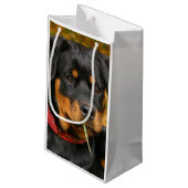 Rottweiler Pup Lying On The Ground In Forest Klein Cadeauzakje (Achterkant Gekanteld)