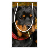 Rottweiler Pup Lying On The Ground In Forest Klein Cadeauzakje (Voorkant)