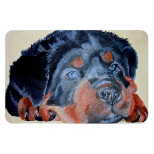 Rottweiler Puppy Artistic Pet Portret Magneet