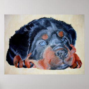 Rottweiler Puppy Artistic Pet Portret Poster