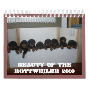Rottweiler Puppy Calendar Kalender