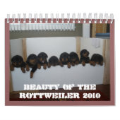 Rottweiler Puppy Calendar Kalender (Hoes)