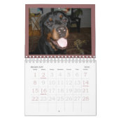 Rottweiler Puppy Calendar Kalender (Feb 2026)