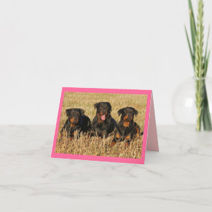 Rottweiler Puppy Dog Pink Blank Note Kaart