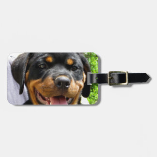 Rottweiler puppy gezicht Hond Schattige Bagagelabel
