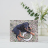 Rottweiler Puppy "Innocent" Briefkaart (Staand voorkant)