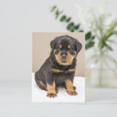 Rottweiler puppy portret briefkaart (Staand voorkant)