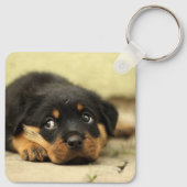 Rottweiler Puppy Sleutelhanger (Achterkant)