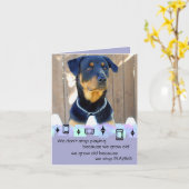 Rottweiler Puppy Verjaardag Groeten Kaart (Gele Bloem)