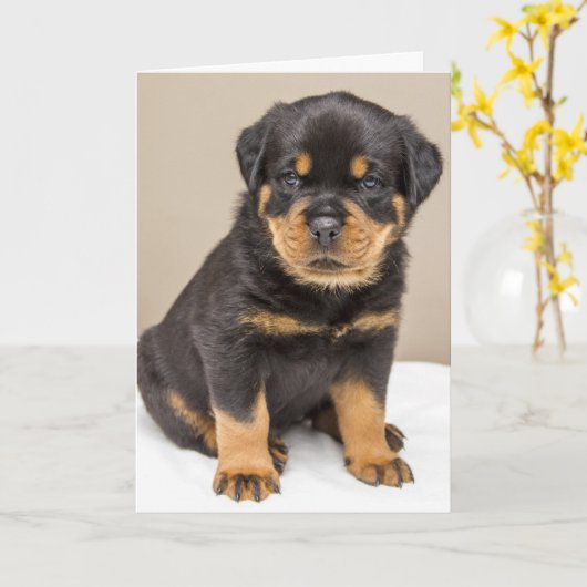 Rottweiler puppyportret kaart (Gele Bloem)
