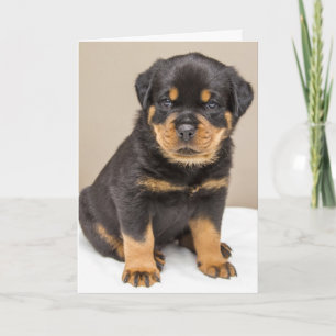 Rottweiler puppyportret kaart