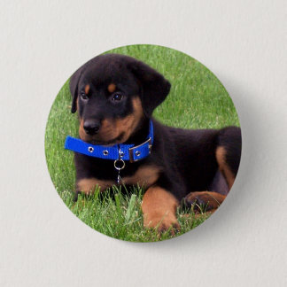 rottweiler pups ronde button 5,7 cm