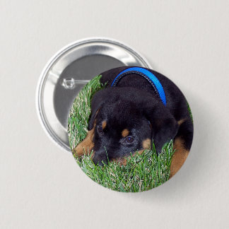 rottweiler pups ronde button 5,7 cm