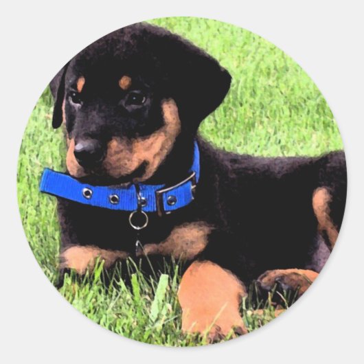 rottweiler pups. ronde sticker (Voorkant)