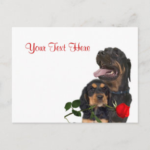 Rottweiler Red Rose Valentijn Design Feestdagenkaart